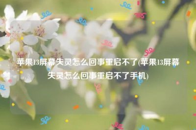 ​苹果13屏幕失灵怎么回事重启不了(苹果13屏幕失灵怎么回事重启不了手机)