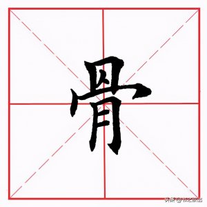 ​骨字的偏旁部首是什么（齿的部首）