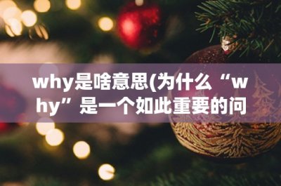 ​why是啥意思(为什么“why”是一个如此重要的问题？)