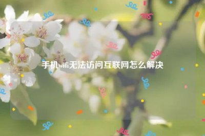 ​手机wifi无法访问互联网怎么解决