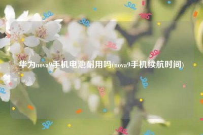 ​华为nova9手机电池耐用吗(nova9手机续航时间)