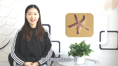 ​网络词语海星是什么意思 网络用语海星的意思