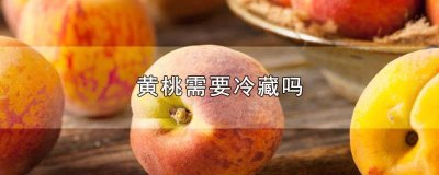 ​黄桃能冷藏吗保鲜吗 黄桃可以冷冻储藏吗