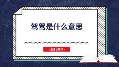 ​驾驭是什么意思 驾驭不了是什么意思