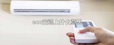 ​eco是什么意思中文 eco是什么意思车上的