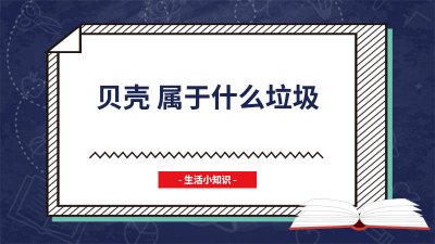 ​贝壳属于什么垃圾? 贝壳属于什么垃圾分