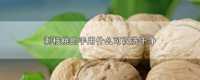 ​剥核桃的手怎么洗掉 怎么清洗剥核桃的手