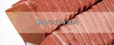 ​鸭血怎么保存?鸭血可以放冰箱吗? 鸭血用冷藏吗