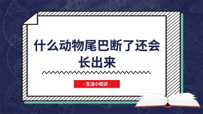 ​哪些动物断了尾巴还会长出来 什么动物的尾巴断了还能长出来