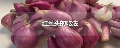 ​小红葱头的做法大全 红葱头的各种吃法