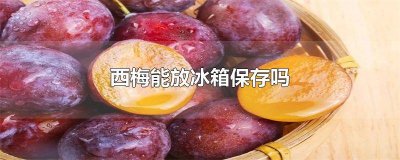 ​西梅可以放冰箱保存吗冬天 西梅可以冷藏保存吗