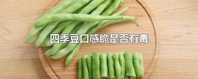 ​四季豆是脆的吗 4季豆有毒吗