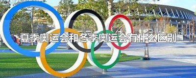 ​冬季奥运会和夏季奥运会的区别跳水 冬季奥运会和夏季奥运会的区别蚂蚁