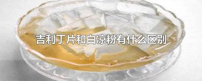 ​吉利丁片是白凉粉吗 吉利丁片和白凉粉什么区别