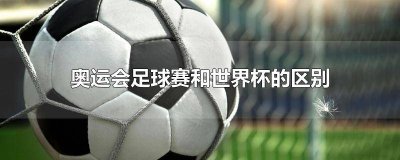 ​奥运会有足球比赛和世界杯 奥运会有足球和世界杯