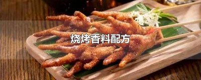 ​烧烤香料配方多少钱一本 烧烤香料配方有君臣佐使么