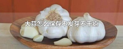 ​冬天大蒜怎么保存不发芽不干瘪 大蒜怎么保存不发芽不干瘪呢