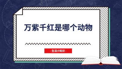 ​千红万紫是什么动物 十二生肖万紫千红是什么动物