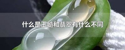 ​翡翠与玉髓的区别是什么 玉髓跟翡翠有啥区别