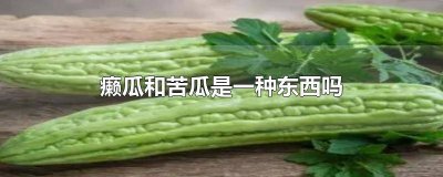 ​癞瓜和苦瓜是一种东西吗能吃吗 癞瓜就是苦瓜吗