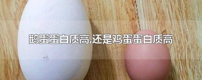 ​鹅蛋蛋白质含量高吗百度百科 鹅蛋和鸭蛋哪个蛋白质含量高