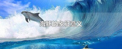 ​海豚的象征意义幸运 海豚的象征意义文本