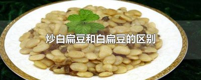 ​炒白扁豆与生白扁豆的功效 炒白扁豆和生白扁豆的功效与作用