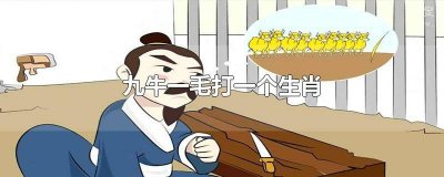 ​九牛一毛打一个生肖? 九牛一毛打一个生肖求作业帮解答?