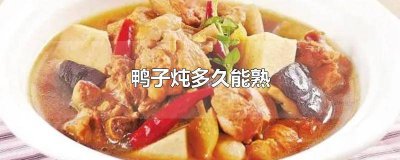 ​炖鸭子多久熟 鸭子炖多久会熟