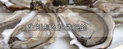 ​生蚝什么样的肥料最好 生蚝什么样的肥料好