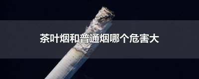 ​抽茶叶烟和普通烟有什么危害 茶烟和烟哪个危害更大