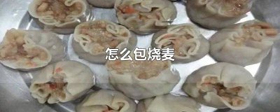 ​饺子皮怎么包烧麦 怎么包烧麦的视频