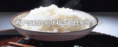 ​干饭放水比例 蒸饭饭和水的比例