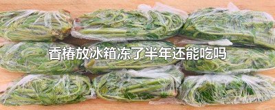 ​香椿放冰箱保鲜室时间长还能吃吗 香椿在冰箱里冻了一年还能吃吗