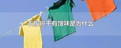 ​衣服晾干有馊味是为什么没有白醋用什么好 衣服干了有馊味