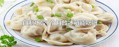 ​自制水饺8个月放冰箱能吃吗 自制水饺8个月放冰箱能吃吗视频