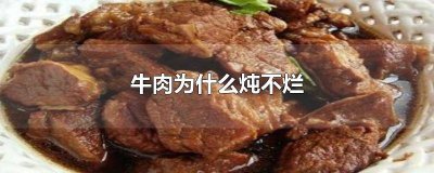 ​牛肉为啥炖不烂呢怎么办才好吃 为什么牛肉炖不烂怎么办