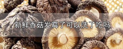 ​新鲜香菇发霉了可以洗了吃吗 新鲜香菇发霉了可以吃吗