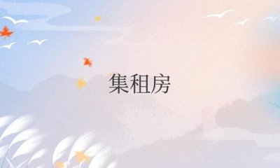 ​集租房是什么性质房（集租房和公租房的区别）