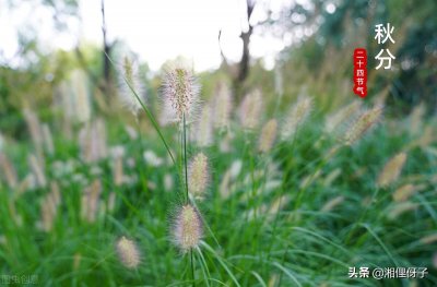 ​老话说秋怕雷是什么意思（秋天打雷预示着什么说法）