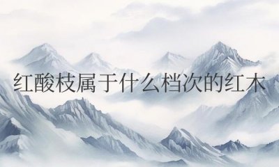 ​红酸枝属于什么档次的红木