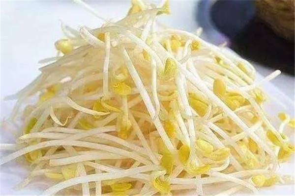 绿豆芽是豆制品吗 绿豆芽是不是发物