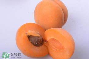 杏子好吃吗？杏子可以多吃吗？