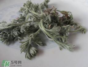 白蒿能治黄疸吗？白蒿水可以治黄疸吗？