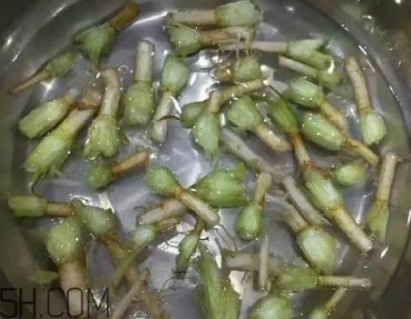 香菜根煮水能治湿疹吗？香菜根煮水孕妇能喝吗？