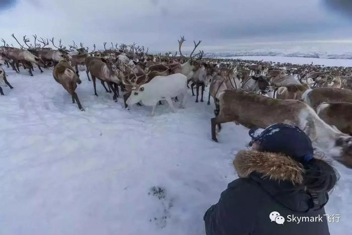 还能这么玩？继被ISIS通缉之后，这对中国夫妻又开着飞机环游了地球