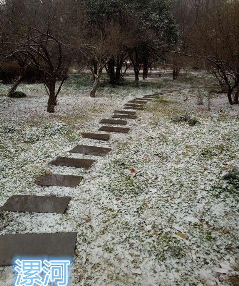 河南的雪有多大，看这几张图就够了