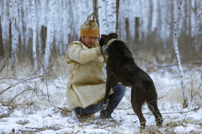 ​中国仅有的护山犬，隐秘于东北大山之中，驱熊赶狼野性难驯的猛犬