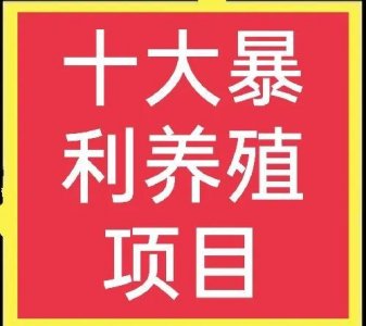 ​十大高收益养殖项目，想赚钱的不可错过